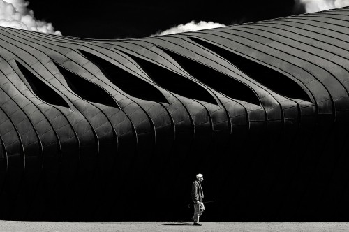 © Padurariu Alexandru